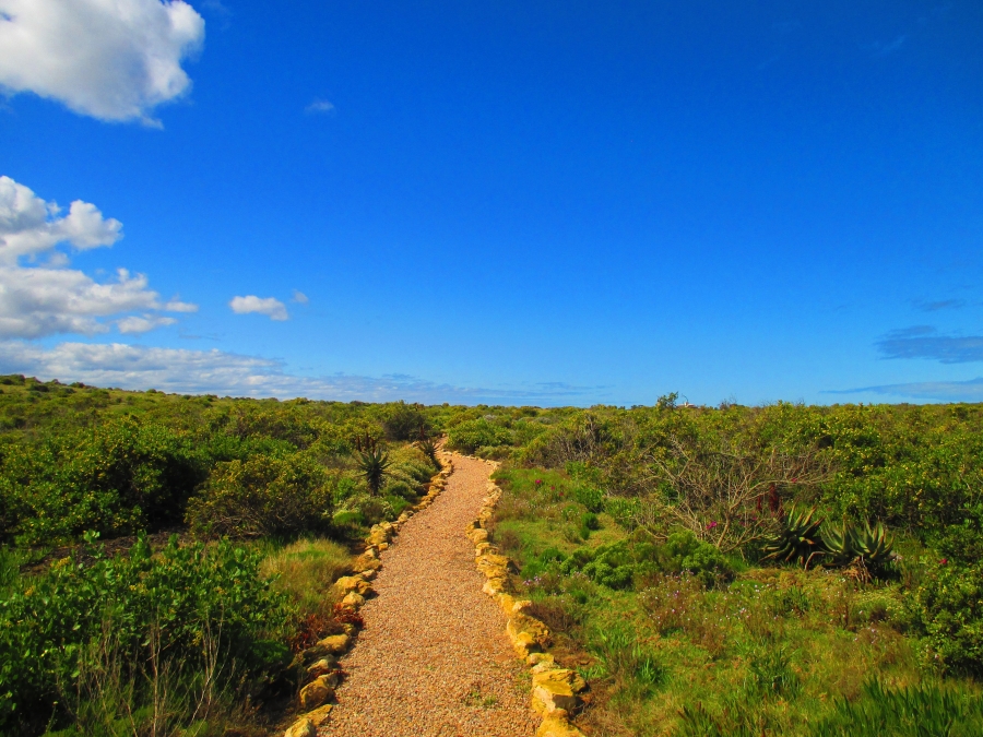 0 Bedroom Property for Sale in Springerbaai Eco Estate Western Cape